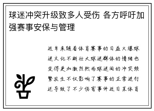 球迷冲突升级致多人受伤 各方呼吁加强赛事安保与管理