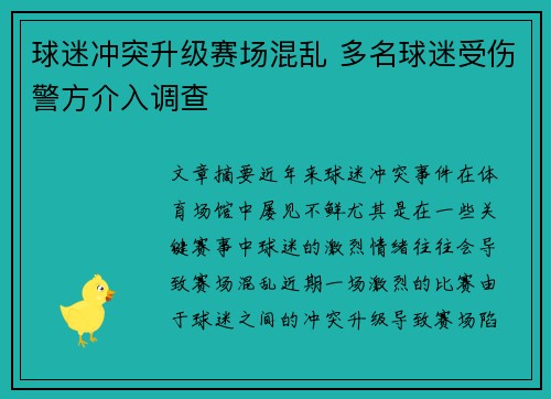 球迷冲突升级赛场混乱 多名球迷受伤警方介入调查