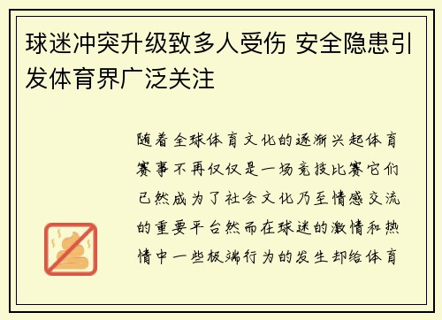 球迷冲突升级致多人受伤 安全隐患引发体育界广泛关注